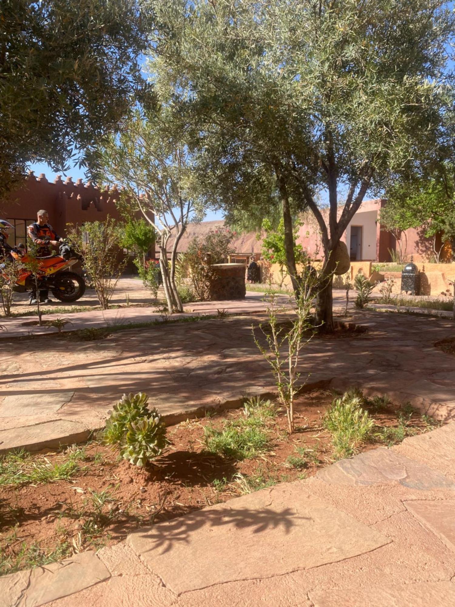 Ait Youl Riad Ecobio מראה חיצוני תמונה